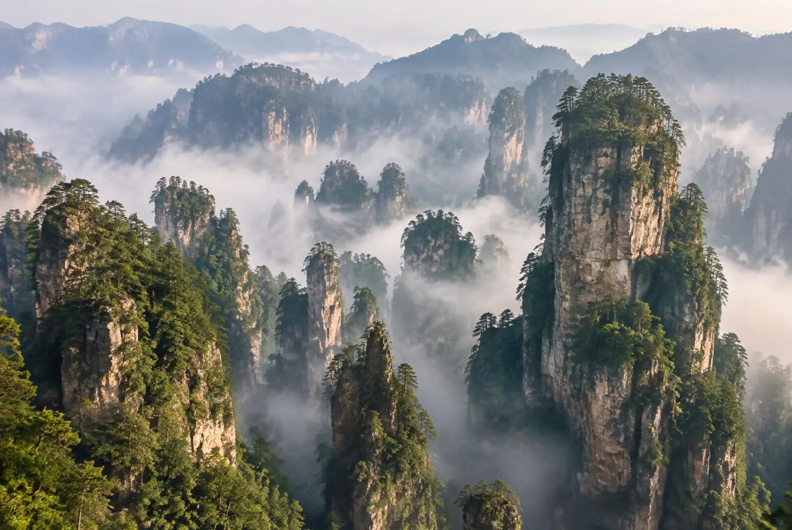 Pilar batu Zhangjiajie diselimuti kabut pagi